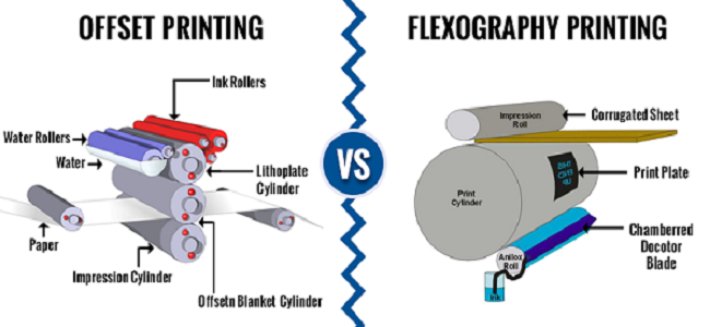 so sánh in flexo và in offset, in flexo và in offset, sự khác nhau giữa in offset và in flexo 