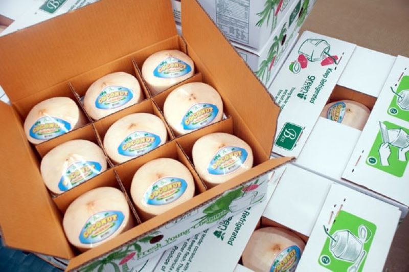 thùng carton đóng hàng xuất khẩu, thùng carton xuất khẩu hàng hóa, thùng carton đựng hàng xuất khẩu, thùng carton để đựng hàng xuất khẩu, thùng carton dùng để đựng hàng xuất khẩu, thùng carton đựng hàng hóa xuất khẩu, thùng carton xuất khẩu hàng hóa đi châu âu, thùng carton đựng trái cây xuất khẩu, thùng carton đựng hàng dệt may xuất khẩu, thùng carton đựng hàng thủ công mỹ nghệ xuất khẩu.