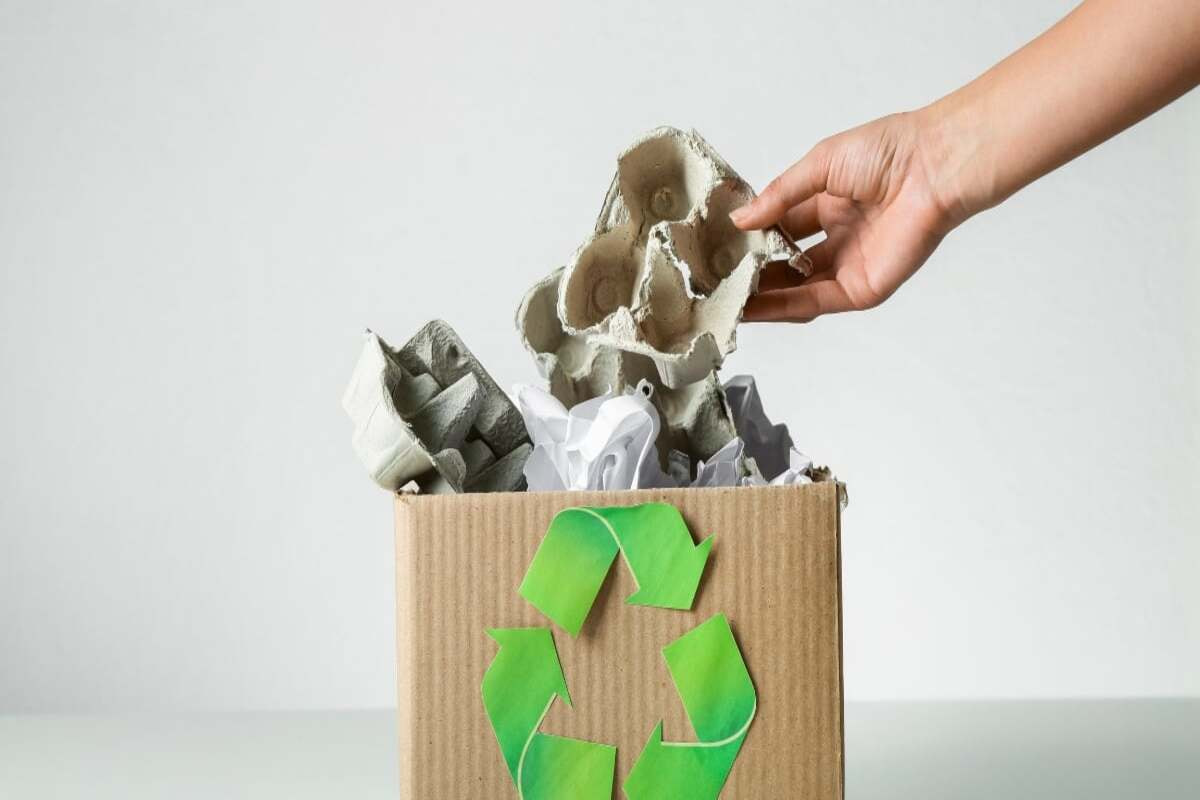 Xu hướng bao bì 2025: Đổi mới và bền vững trong ngành công nghiệp đóng gói